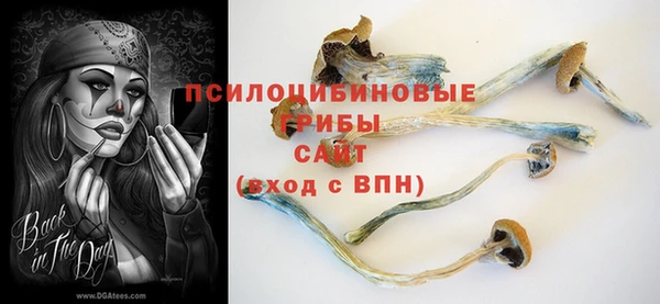 прущая мука Богородск