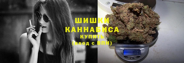 мескалин Богородицк