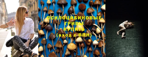 мескалин Богородицк