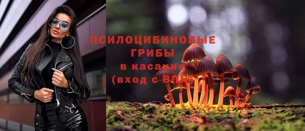 мескалин Богородицк