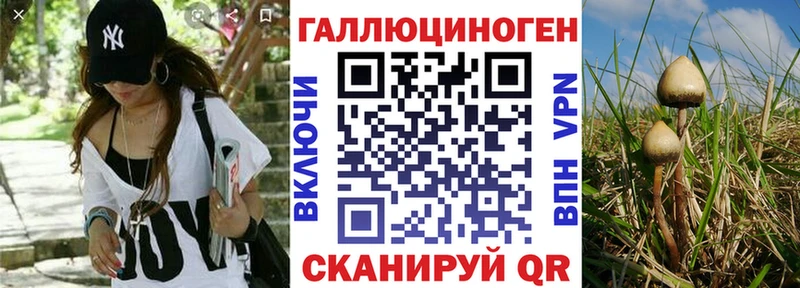 Галлюциногенные грибы прущие грибы  Купить закладки  Катайск 