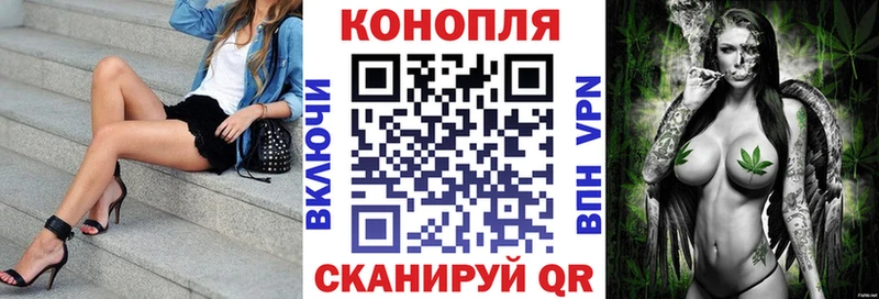 Купить закладки  Катайск  Бошки марихуана THC 21% 